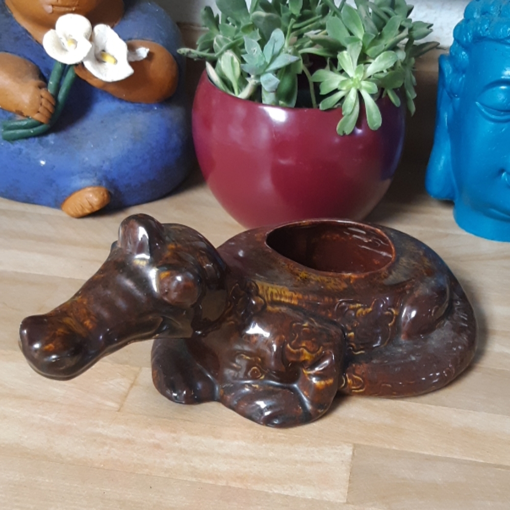 Alligator Crocodile Plant Pot Indoor Home and Garden Swamp Zen Art piece